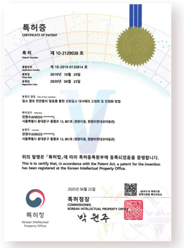 Korea Patent